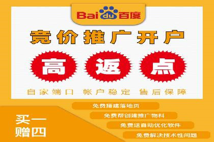 百度推广与SEO结合的营销策略案例分享